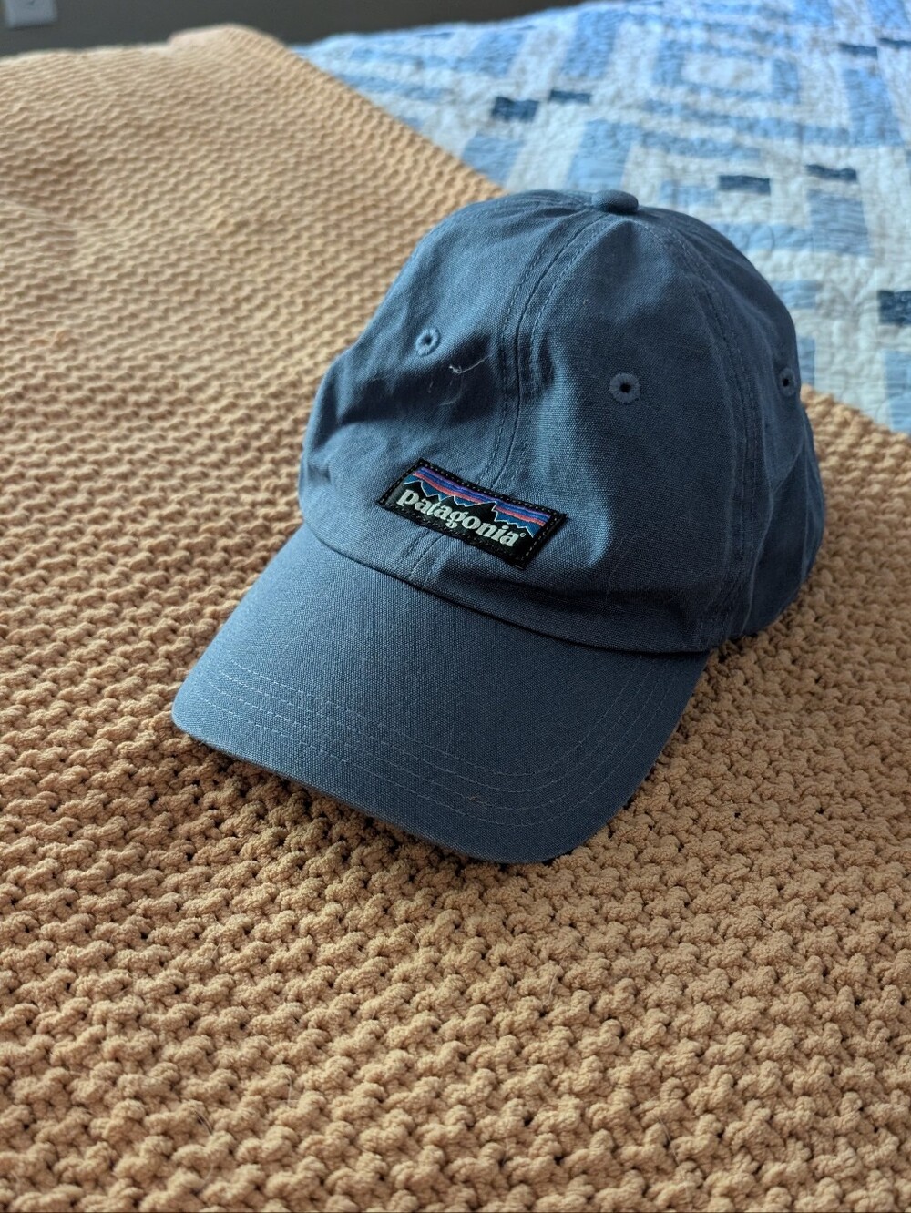 Adjustable Patagonia Ballcap